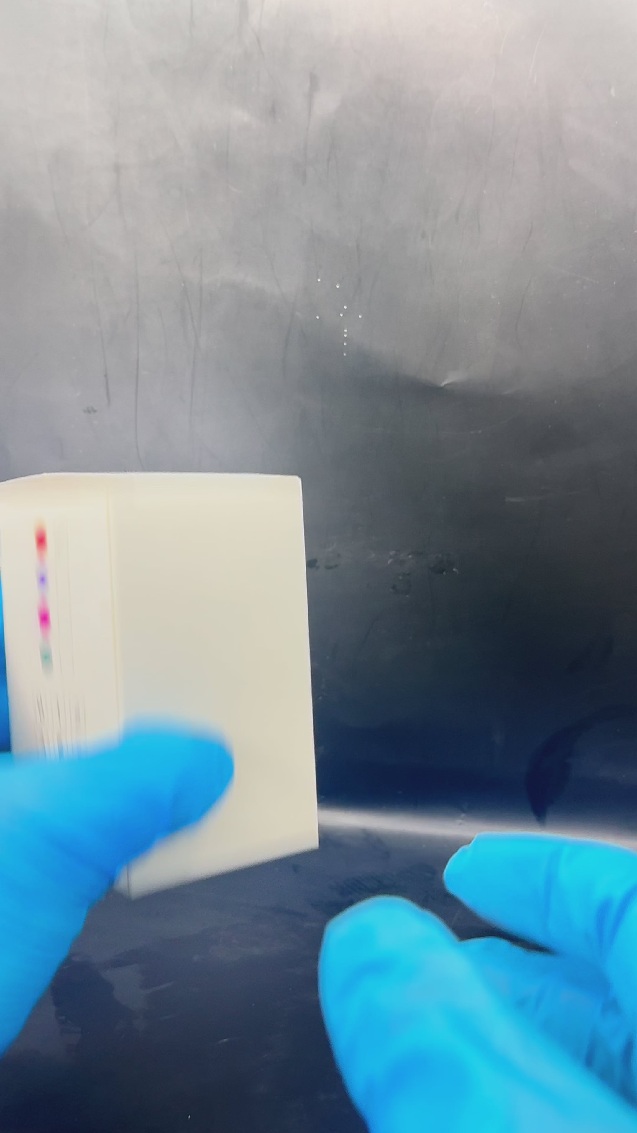 Vibrador Inalámbrico con Control por App 📲🌹💦